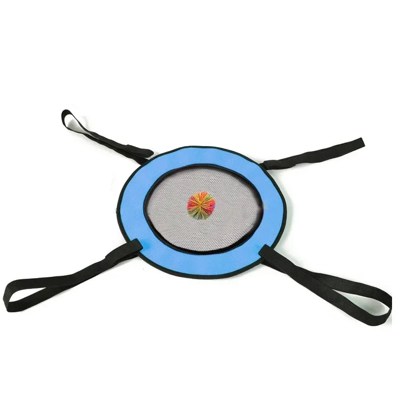 Gioco Lancio e Presa per Bambini – Interattivo Genitore-Figlio