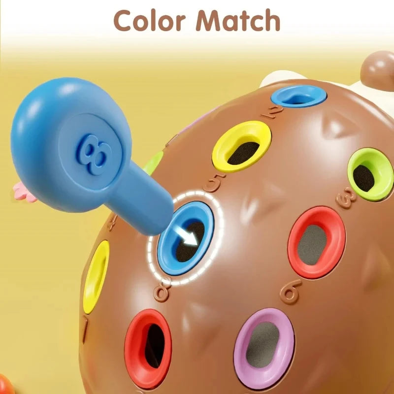 Giocattolo Sensoriale per Neonati e Toddler | Riccio Montessori, Motricità Fine