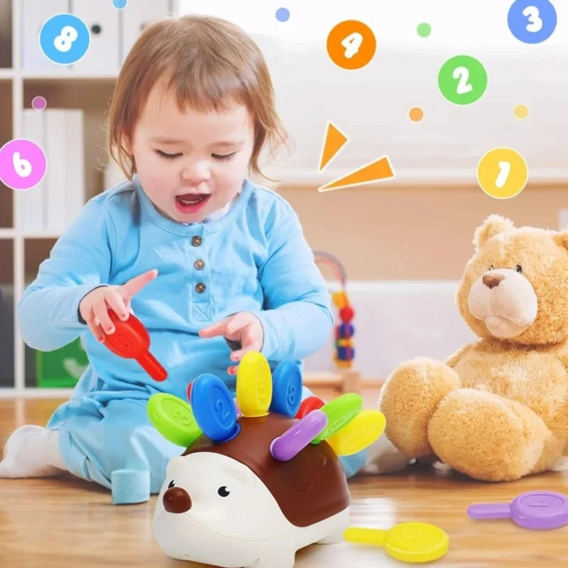 Giocattolo Sensoriale per Neonati e Toddler | Riccio Montessori, Motricità Fine