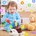 Giocattolo Sensoriale per Neonati e Toddler | Riccio Montessori, Motricità Fine