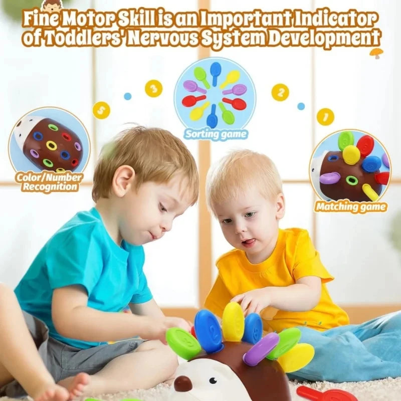 Giocattolo Sensoriale per Neonati e Toddler | Riccio Montessori, Motricità Fine
