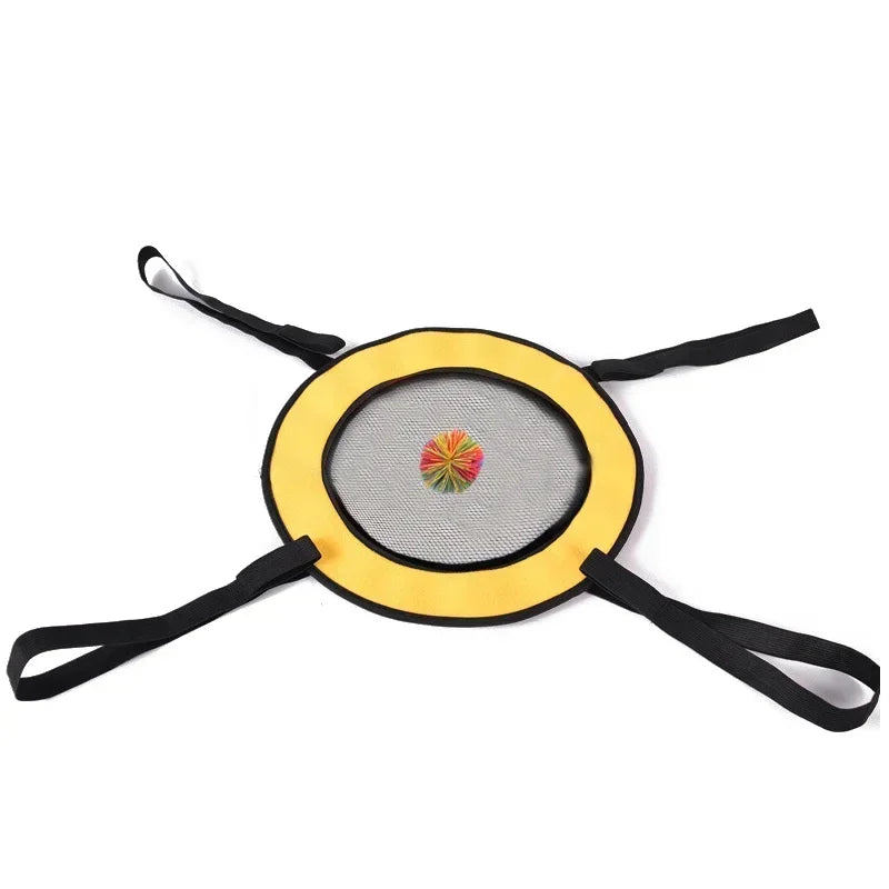 Gioco Lancio e Presa per Bambini – Interattivo Genitore-Figlio